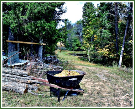 22-dawnmiller-february-4th-2018