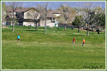 photo-20190114153332128