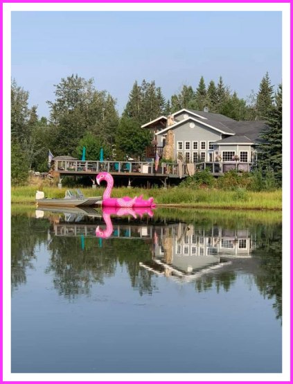 flamingo-lake-p-allman_58