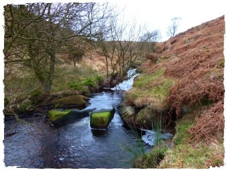 lincoln-bakewell-gt-hucklow-017 (3)