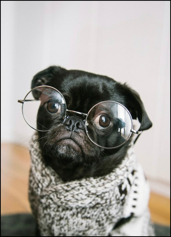 what-do-you-see-from-lunasonline-3